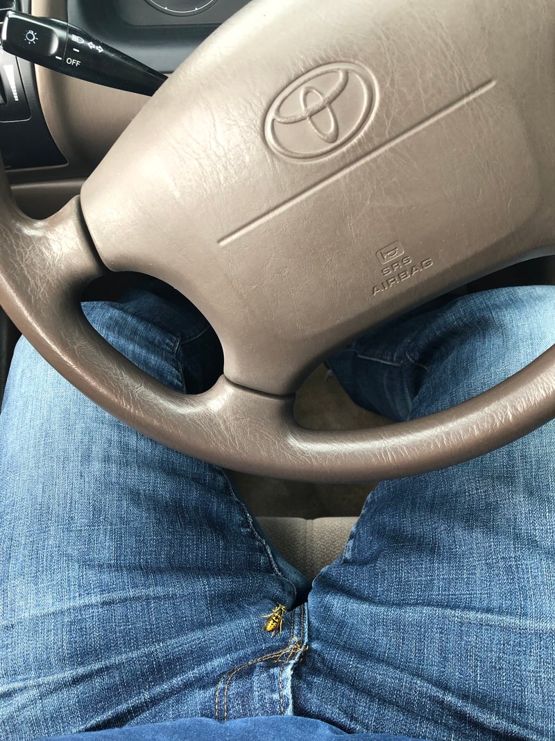 Illustration for article titled DOTS : things I saw commuting today (also, my crotch)